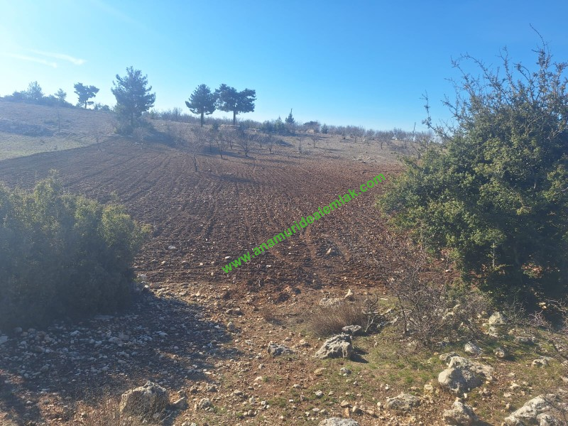 GÜLNAR SARAY MAHALLESİNDE SATILIK 10500 M2 TARLA