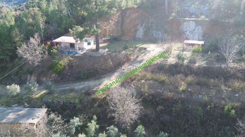 ANAMUR KORUCUKTA MÜSTAKİL SATILIK ZEYTİN VE AVOKADO BAHÇESİ