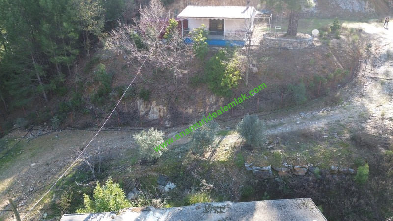 ANAMUR KORUCUKTA MÜSTAKİL SATILIK ZEYTİN VE AVOKADO BAHÇESİ