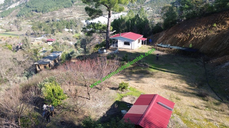 ANAMUR KORUCUKTA MÜSTAKİL SATILIK ZEYTİN VE AVOKADO BAHÇESİ