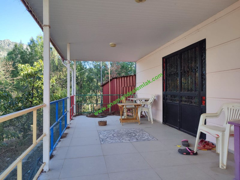 ANAMUR KORUCUKTA MÜSTAKİL SATILIK ZEYTİN VE AVOKADO BAHÇESİ