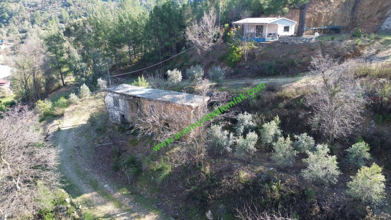 ANAMUR KORUCUKTA MÜSTAKİL SATILIK ZEYTİN VE AVOKADO BAHÇESİ
