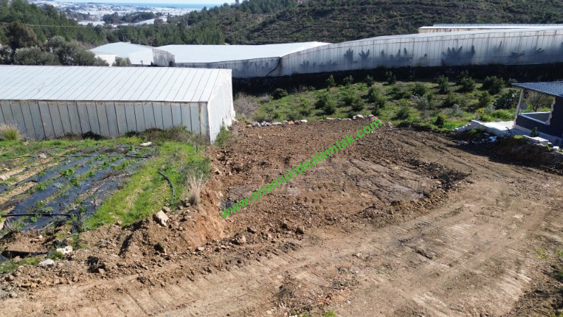 ANAMUR KÖPRÜBAŞI SATILIK 1 DÖNÜM MÜSTAKİL TARLA