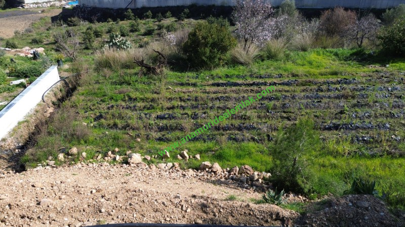 ANAMUR KÖPRÜBAŞI SATILIK 1 DÖNÜM MÜSTAKİL TARLA