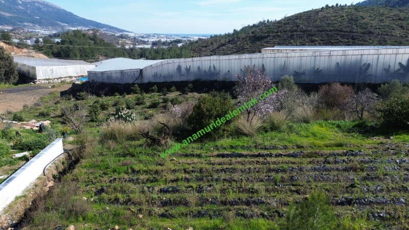 ANAMUR KÖPRÜBAŞI SATILIK 1 DÖNÜM MÜSTAKİL TARLA