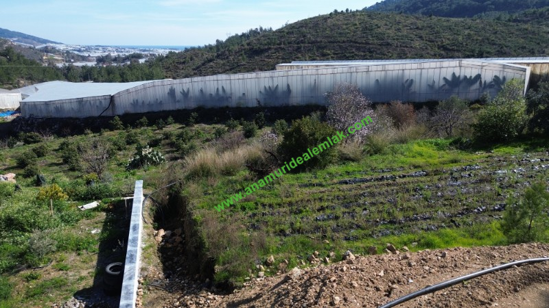 ANAMUR KÖPRÜBAŞI SATILIK 1 DÖNÜM MÜSTAKİL TARLA