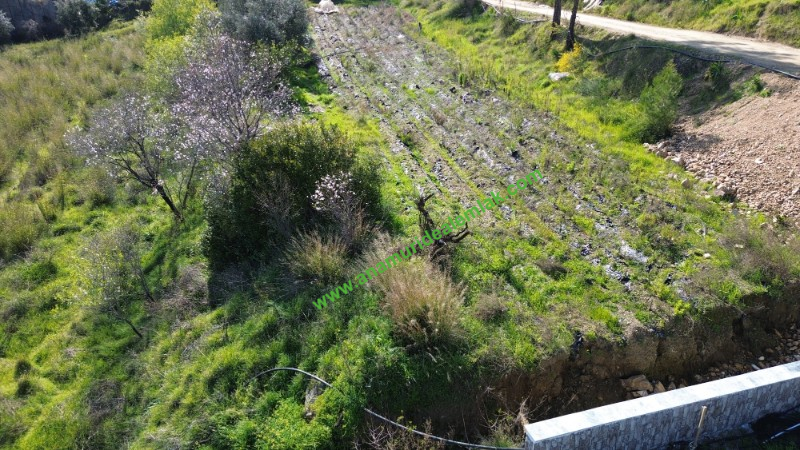 ANAMUR KÖPRÜBAŞI SATILIK 1 DÖNÜM MÜSTAKİL TARLA