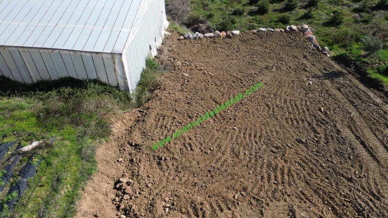 ANAMUR KÖPRÜBAŞI SATILIK 1 DÖNÜM MÜSTAKİL TARLA