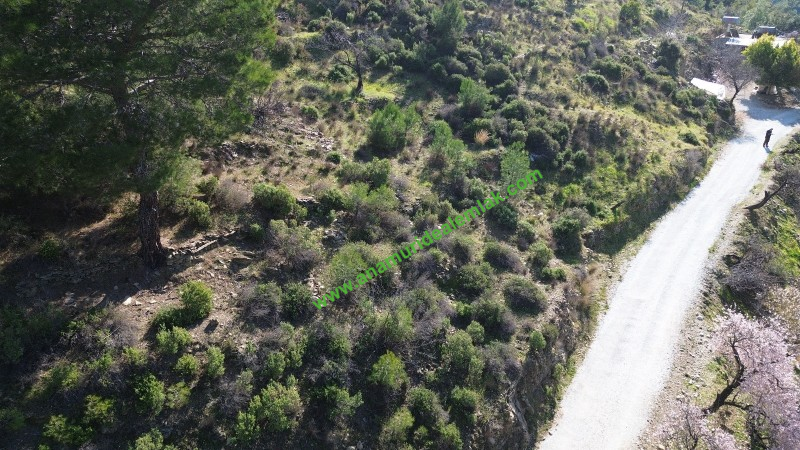 ANAMUR DEMİRÖREN'DE MÜSTAKİL PORTAKAL BAHÇESİ VE TARLA
