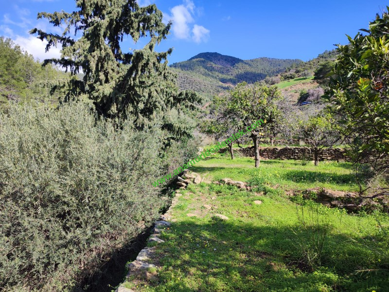 ANAMUR DEMİRÖREN'DE MÜSTAKİL PORTAKAL BAHÇESİ VE TARLA