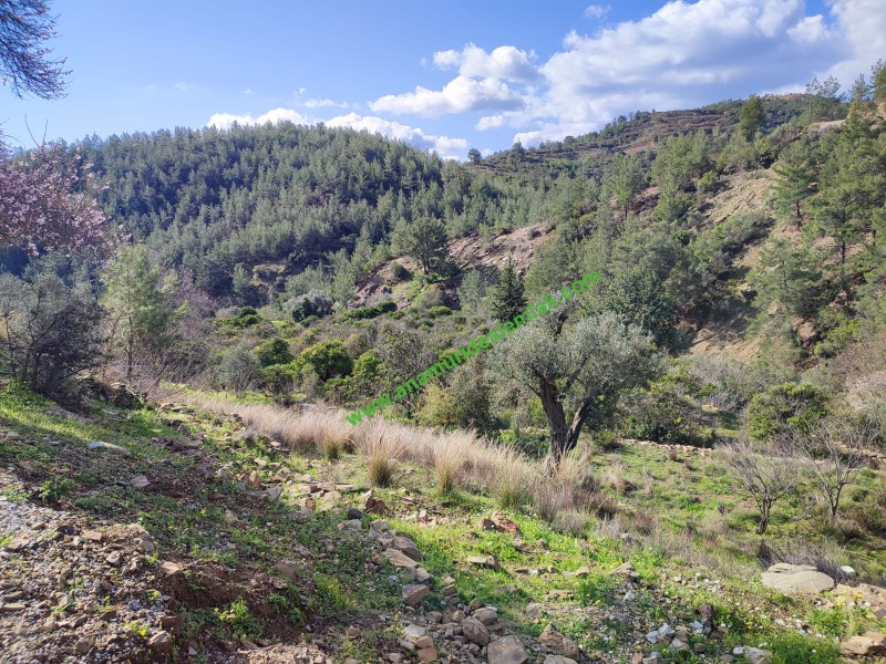 ANAMUR DEMİRÖREN'DE MÜSTAKİL PORTAKAL BAHÇESİ VE TARLA