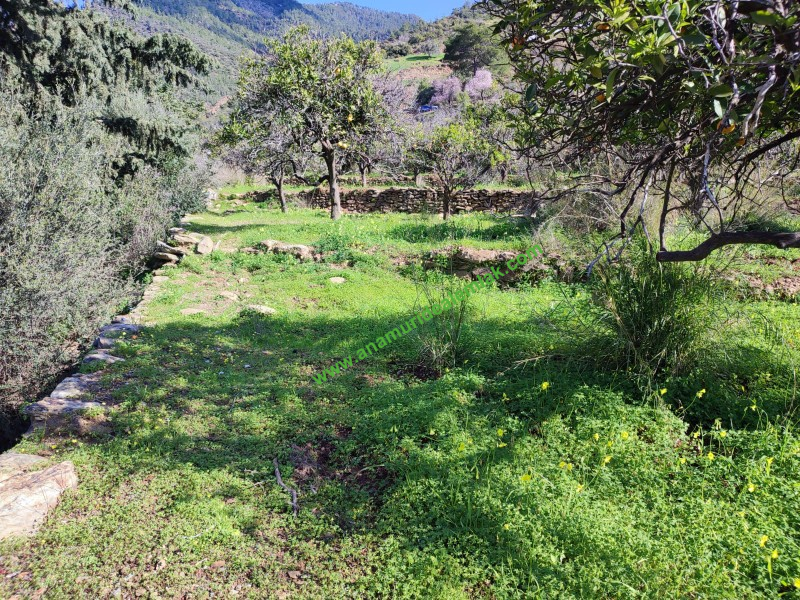 ANAMUR DEMİRÖREN'DE MÜSTAKİL PORTAKAL BAHÇESİ VE TARLA