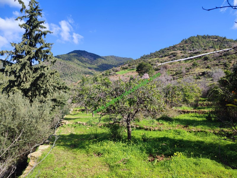 ANAMUR DEMİRÖREN'DE MÜSTAKİL PORTAKAL BAHÇESİ VE TARLA