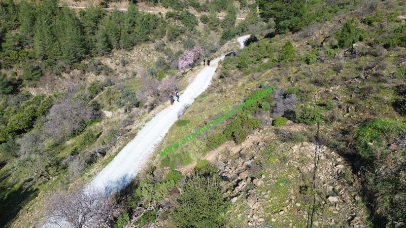 ANAMUR DEMİRÖREN'DE MÜSTAKİL PORTAKAL BAHÇESİ VE TARLA