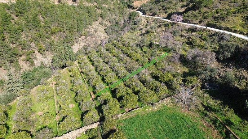 ANAMUR DEMİRÖREN'DE MÜSTAKİL PORTAKAL BAHÇESİ VE TARLA