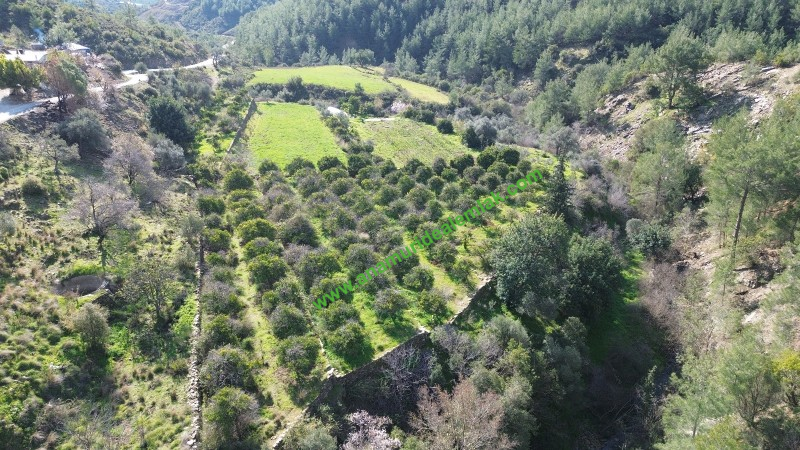 ANAMUR DEMİRÖREN'DE MÜSTAKİL PORTAKAL BAHÇESİ VE TARLA