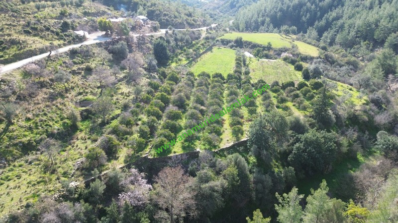 ANAMUR DEMİRÖREN'DE MÜSTAKİL PORTAKAL BAHÇESİ VE TARLA