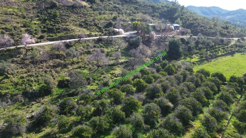 ANAMUR DEMİRÖREN'DE MÜSTAKİL PORTAKAL BAHÇESİ VE TARLA