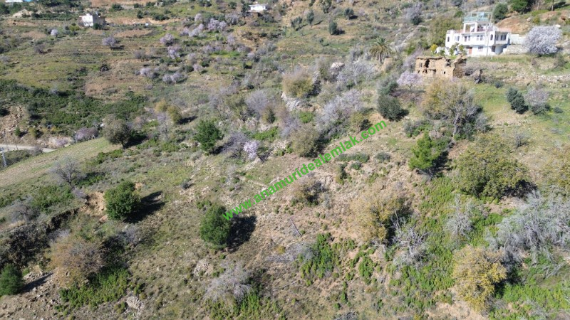 ANAMUR UCARIDA SATILIK 11500 M2 TARLA