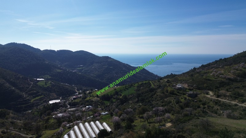 ANAMUR UCARIDA SATILIK 11500 M2 TARLA