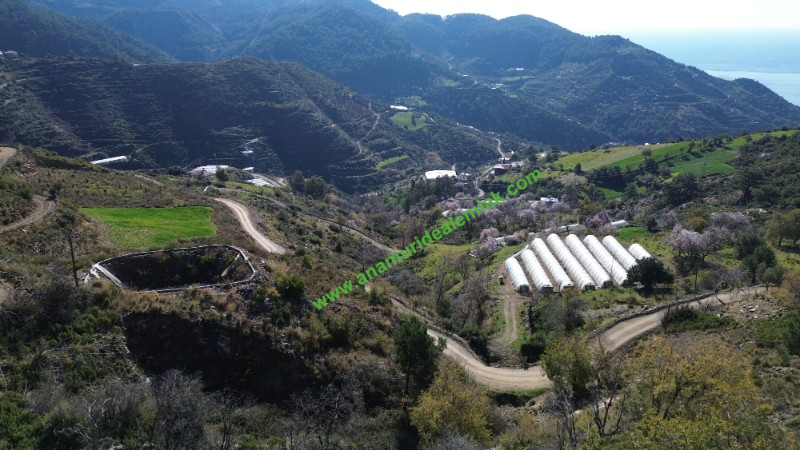 ANAMUR UCARIDA SATILIK 11500 M2 TARLA