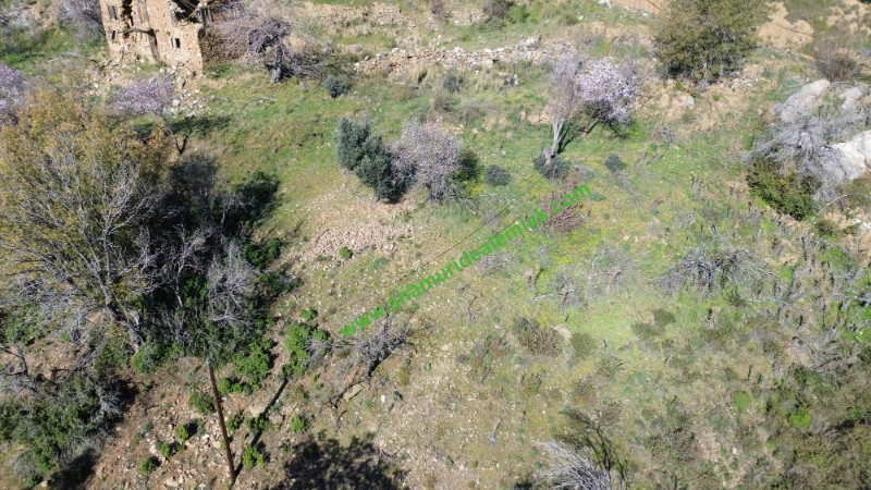 ANAMUR UCARIDA SATILIK 11500 M2 TARLA
