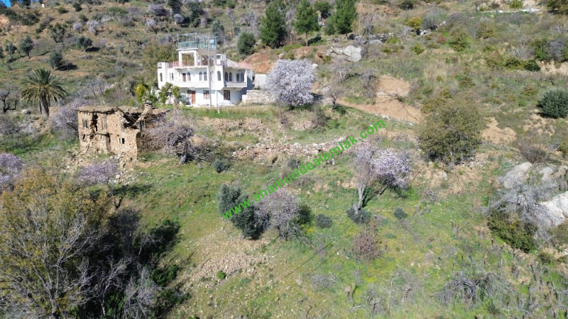 ANAMUR UCARIDA SATILIK 11500 M2 TARLA