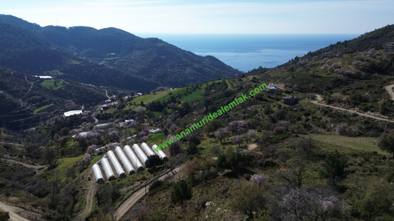 ANAMUR UCARIDA SATILIK 11500 M2 TARLA