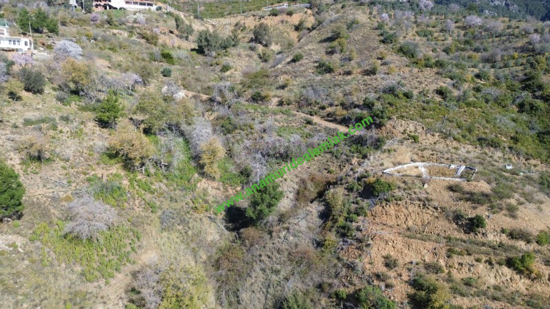 ANAMUR UCARIDA SATILIK 11500 M2 TARLA