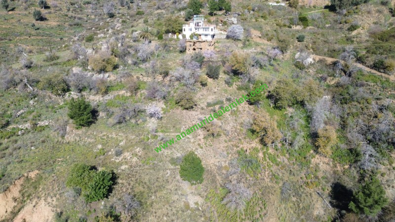 ANAMUR UCARIDA SATILIK 11500 M2 TARLA