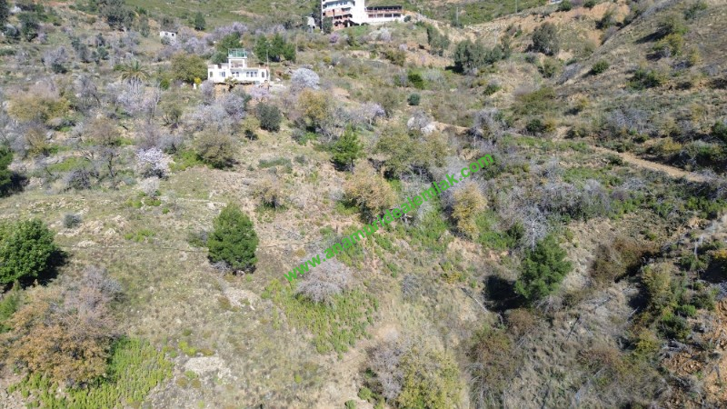 ANAMUR UCARIDA SATILIK 11500 M2 TARLA
