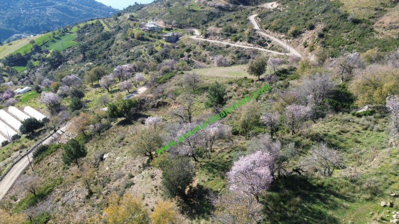 ANAMUR UCARIDA SATILIK 11500 M2 TARLA