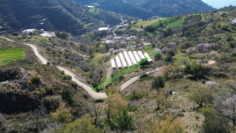 ANAMUR UCARIDA SATILIK 11500 M2 TARLA