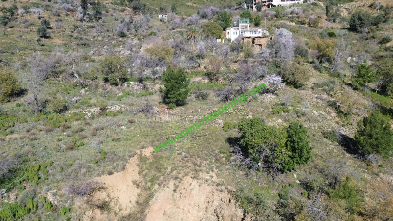 ANAMUR UCARIDA SATILIK 11500 M2 TARLA