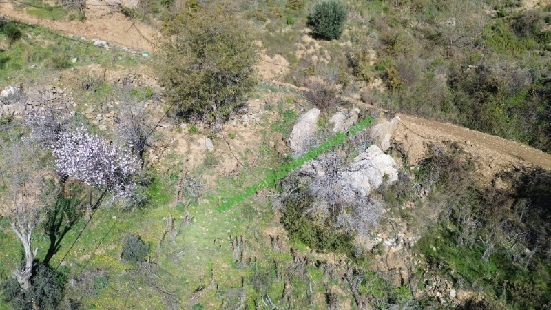 ANAMUR UCARIDA SATILIK 11500 M2 TARLA
