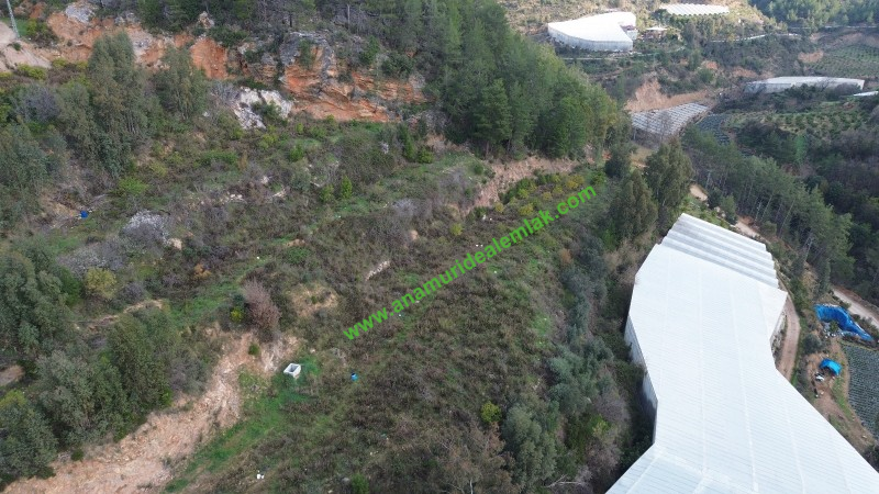 ANAMUR OVABAŞI SATILIK 9000 M2 TARLA