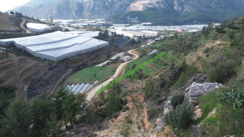 ANAMUR OVABAŞI SATILIK 9000 M2 TARLA
