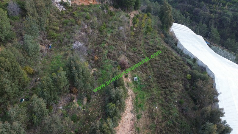 ANAMUR OVABAŞI SATILIK 9000 M2 TARLA