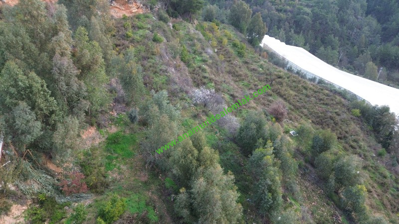 ANAMUR OVABAŞI SATILIK 9000 M2 TARLA