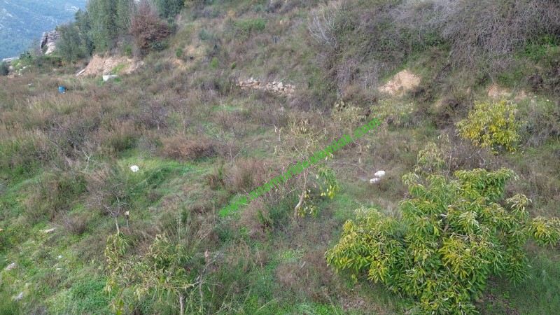 ANAMUR OVABAŞI SATILIK 9000 M2 TARLA