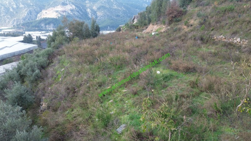 ANAMUR OVABAŞI SATILIK 9000 M2 TARLA