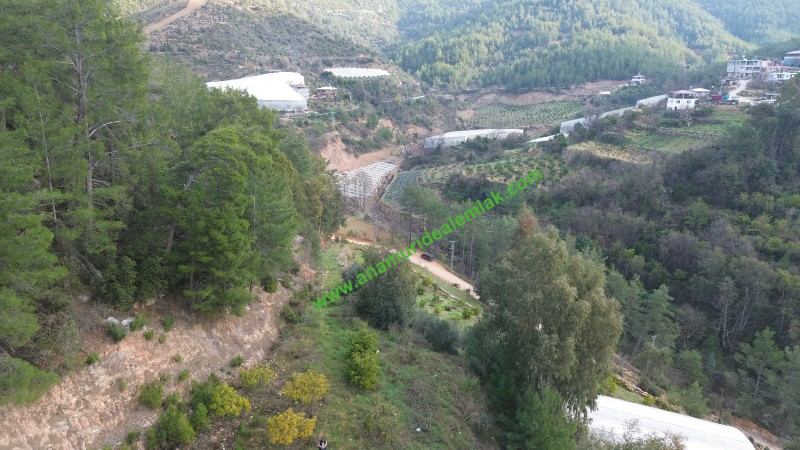 ANAMUR OVABAŞI SATILIK 9000 M2 TARLA