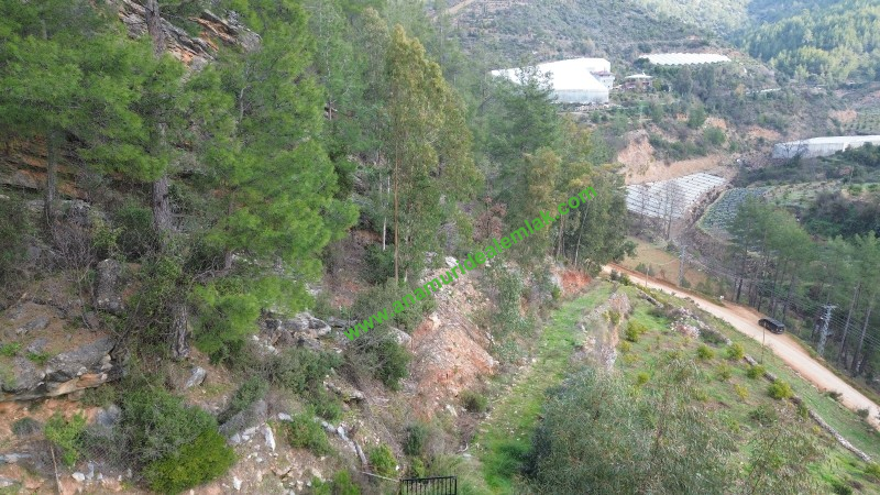 ANAMUR OVABAŞI SATILIK 9000 M2 TARLA