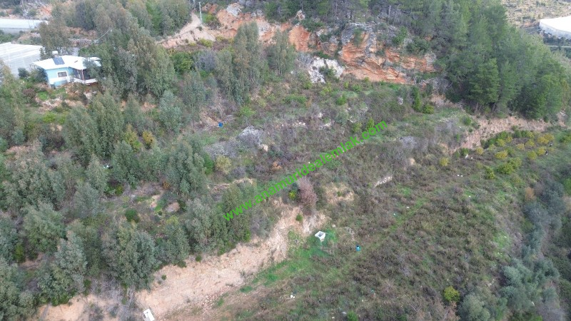 ANAMUR OVABAŞI SATILIK 9000 M2 TARLA