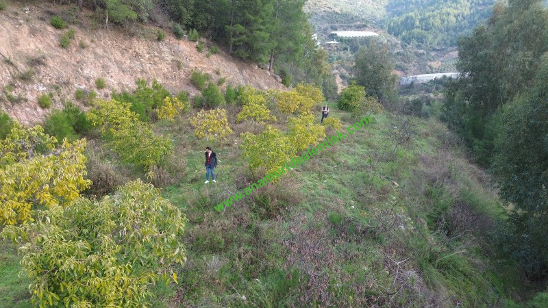 ANAMUR OVABAŞI SATILIK 9000 M2 TARLA
