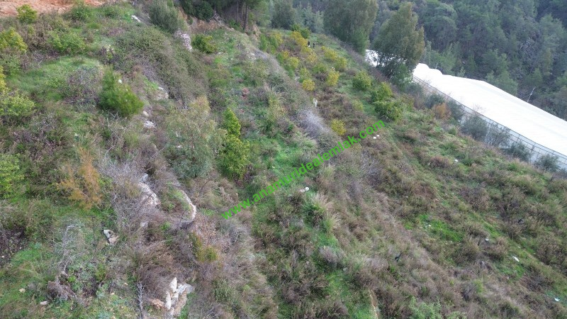 ANAMUR OVABAŞI SATILIK 9000 M2 TARLA