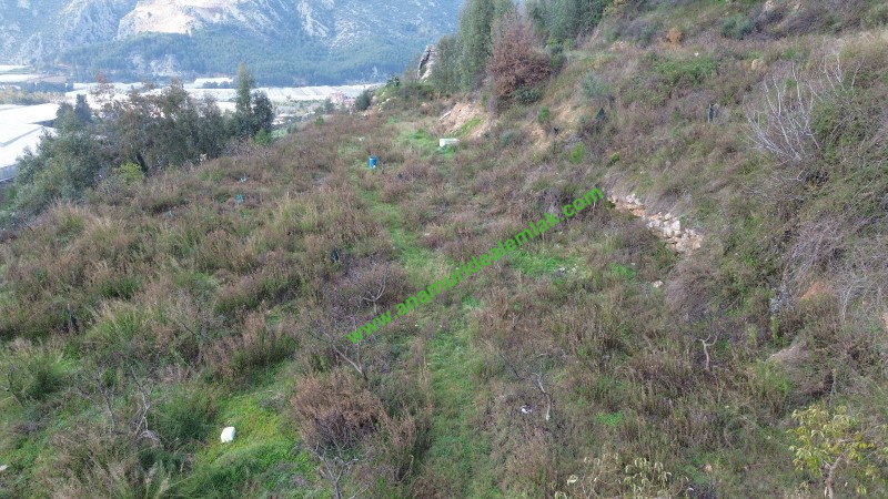 ANAMUR OVABAŞI SATILIK 9000 M2 TARLA