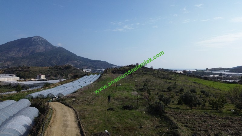 ANAMUR MALAKLAR 5000 M2 TARLA