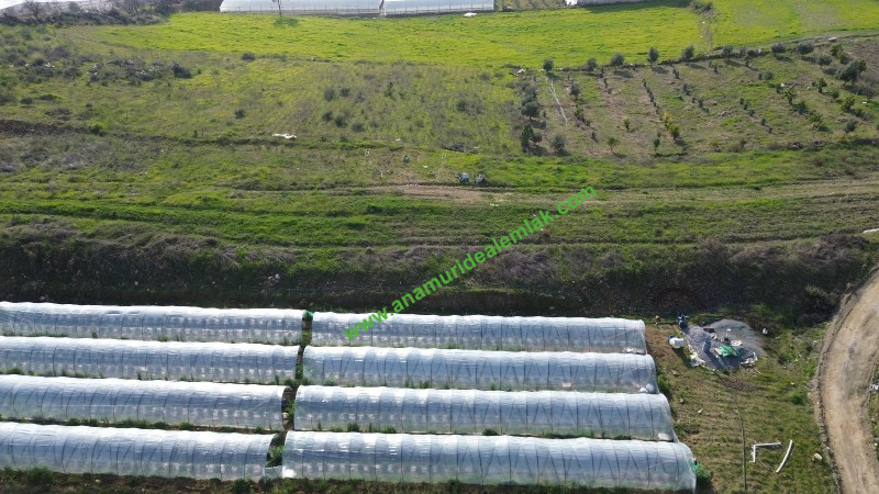 ANAMUR MALAKLAR 5000 M2 TARLA