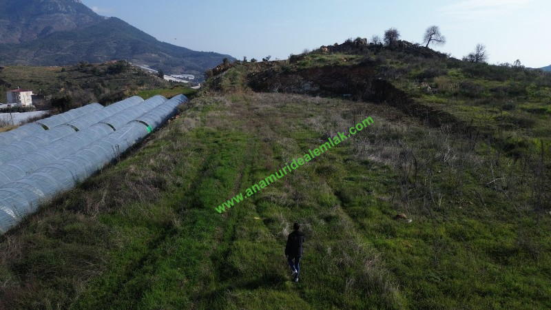 ANAMUR MALAKLAR 5000 M2 TARLA